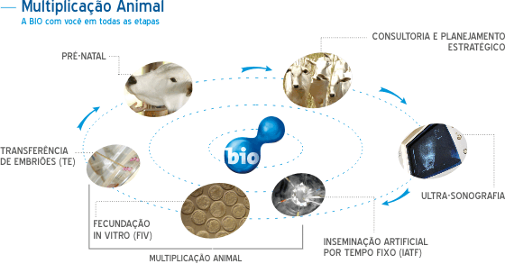 Ciclo de trabalho